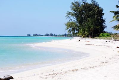 Scenic view of sea against clear sky