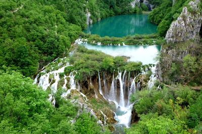 Scenic view of waterfall in forest
