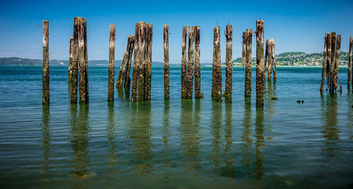 Wooden posts in sea against sky