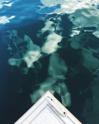 High angle view of fish swimming in sea