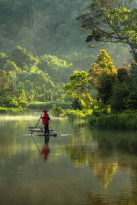 Rear view of man rowing in lake