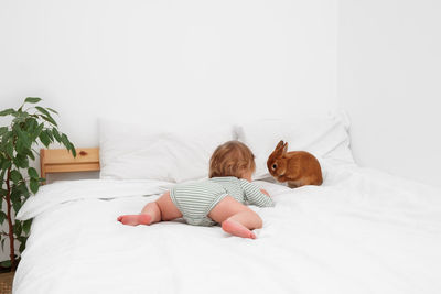 Cute little baby girl,toddler sitting on white blanket, bed,observing,looking at her pet,rabbit