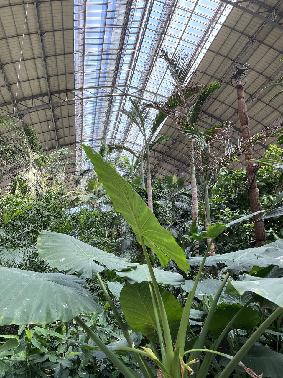 VIEW OF GREENHOUSE