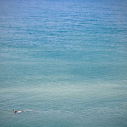 High angle view of  man swimming in sea