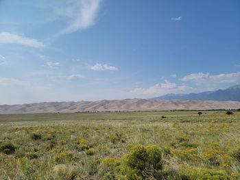 The dunes in sunlight