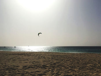 Sunset with kite