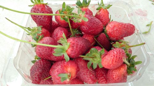 Close-up of strawberries