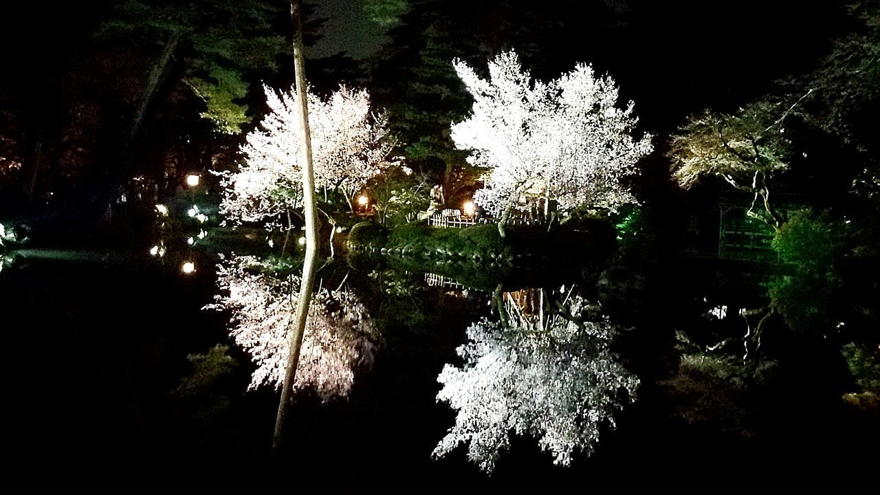 water, reflection, drop, wet, no people, illuminated, full frame, nature, backgrounds, indoors, close-up, tree, night, sky