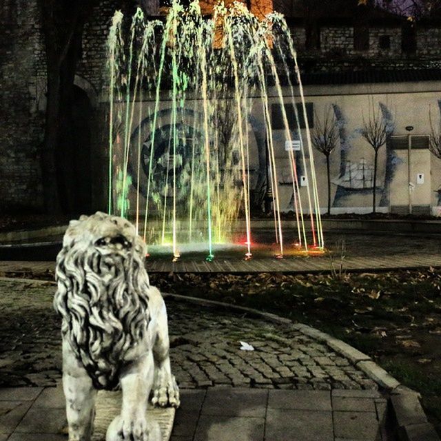 water, fountain, motion, night, long exposure, animal themes, bird, illuminated, art and craft, blurred motion, art, outdoors, pond, built structure, reflection, creativity, spraying, park - man made space, no people, splashing