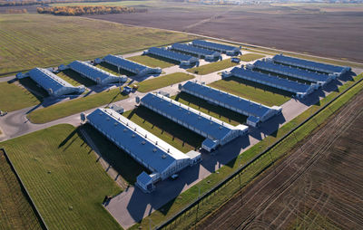 High angle view of agricultural field