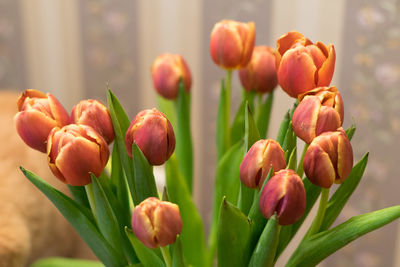 Close-up of flowers