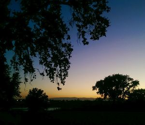 Silhouette of trees at sunset