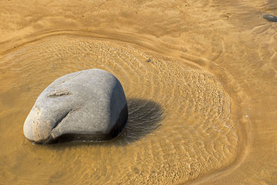 Close-up of water on sand at beach