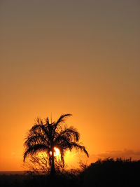 Silhouette tree by sea against sunset sky