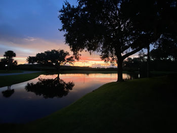 Silhouette tree by lake against sky during sunset