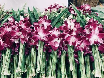 Close-up of flower bouquet