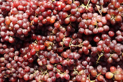 Full frame shot of fruits for sale at market stall