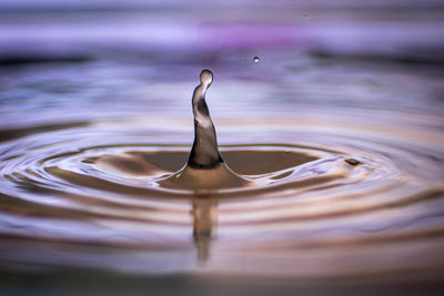 Close-up of drop splashing water in lake