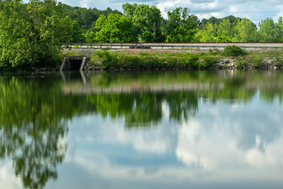 Scenic view of lake against trees