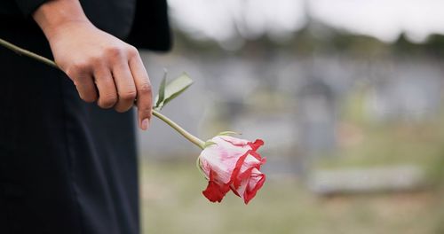 Midsection of woman holding rose