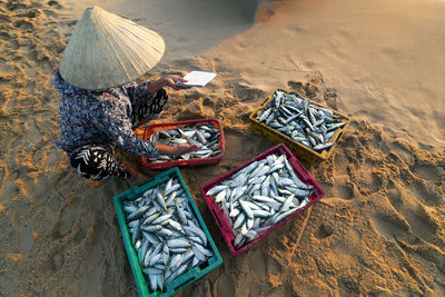 High angle view of woman selling fish at beach