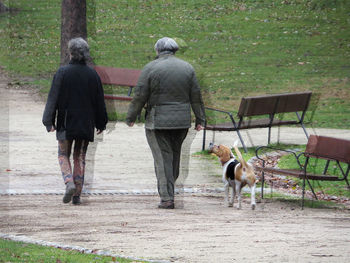 Rear view of two dogs walking outdoors