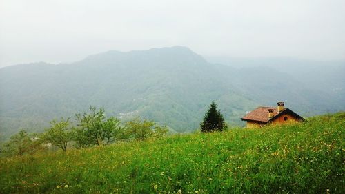 Scenic view of agricultural field and mountains against sky