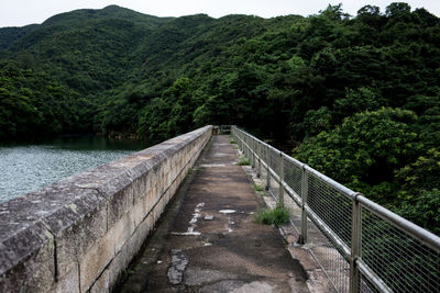 Footbridge over river in forest