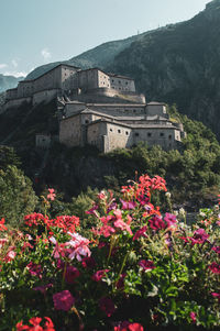 Scenic view of the bard fortress, aosta valley, italy with flowers in foreground