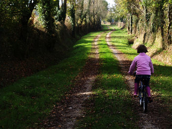 Rear view of man riding bicycle on footpath