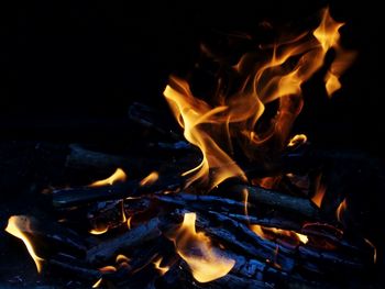 Close-up of bonfire at night