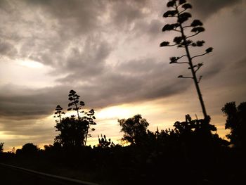 Silhouette trees against sky during sunset