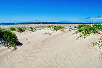 Scenic view of beach against clear blue sky