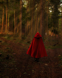 Red umbrella in forest at night