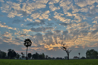 Scenic view of field against sky during sunset