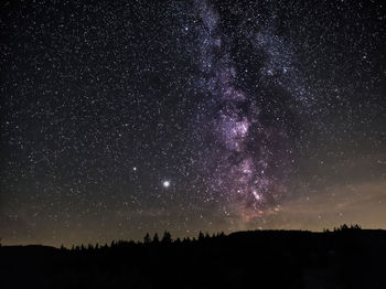 Silhouette trees against sky at night