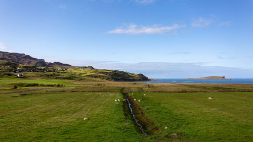 Scenic view of field against sky