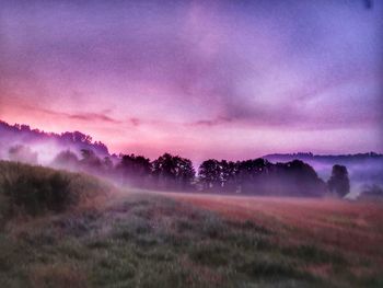Trees on field against sky during sunset