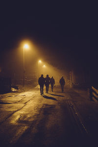Rear view of silhouette people walking on road at night