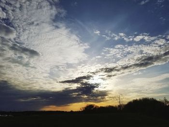 Silhouette trees on field against sky at sunset