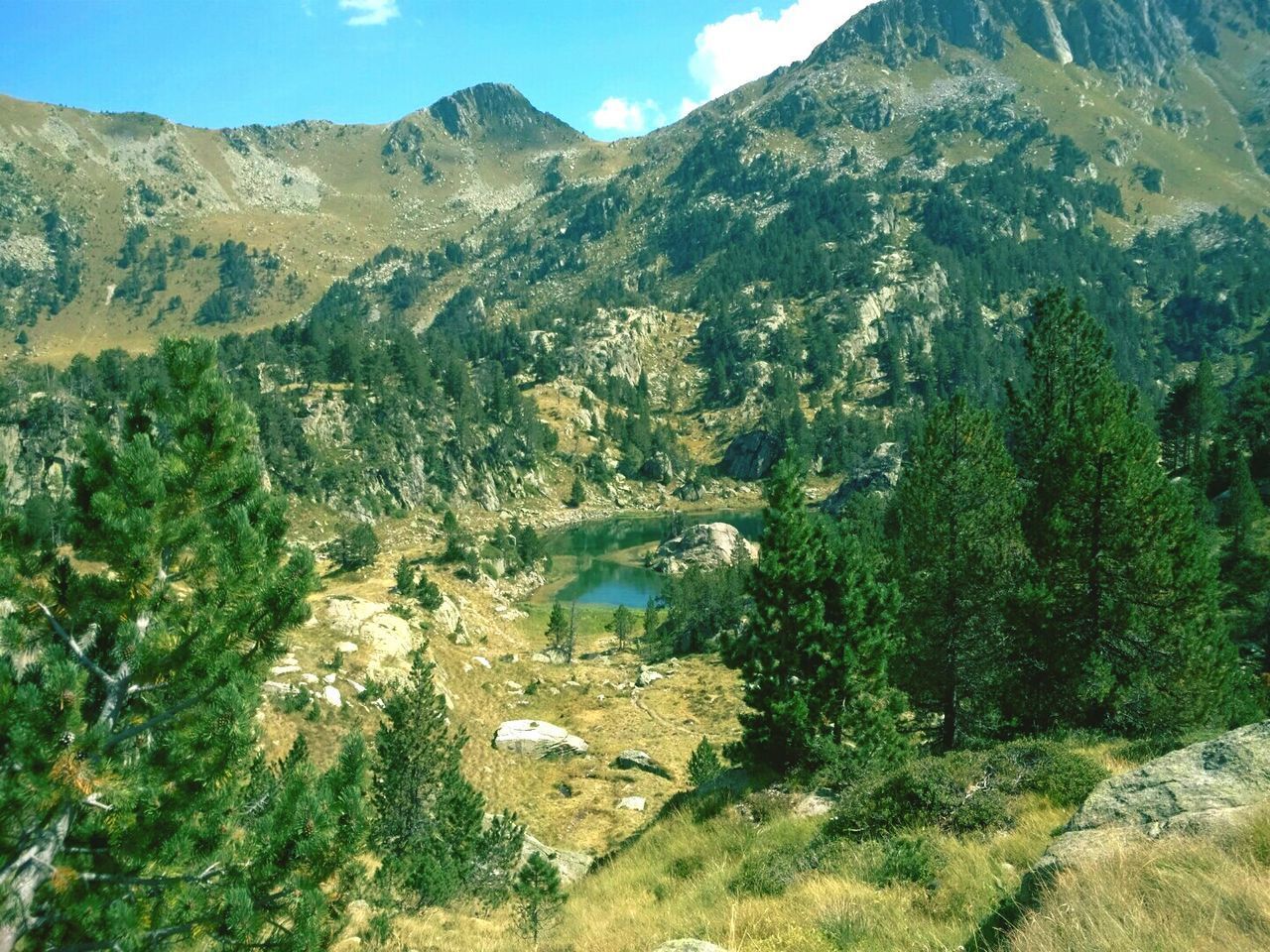 SCENIC VIEW OF LANDSCAPE AND MOUNTAINS AGAINST SKY