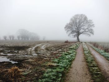 Road amidst field against clear sky