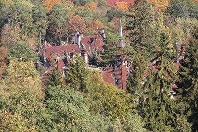 High angle view of trees and plants growing outside house