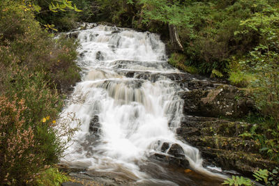 Scenic view of waterfall in forest