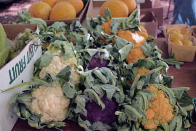 Cauliflowers and squash at market for sale
