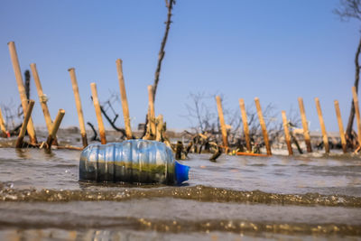 Close-up of wooden posts in sea against clear blue sky