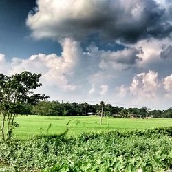 Scenic view of grassy field against cloudy sky