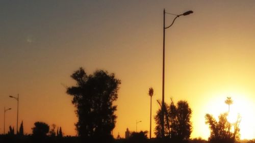 Silhouette trees against sky during sunset