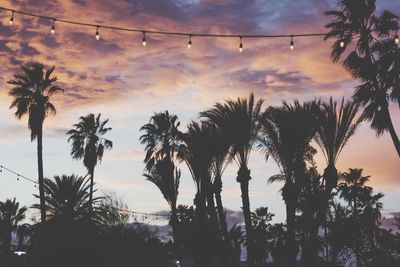 Low angle view of silhouette palm trees against sky