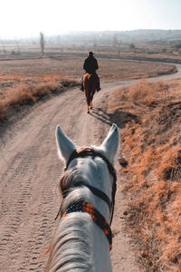 Rear view of person riding horse in country road 